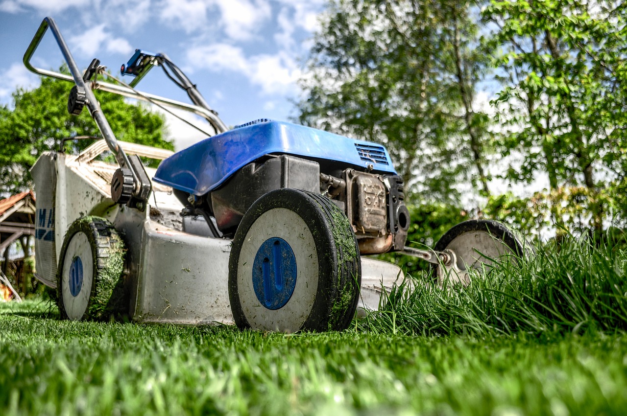 Lawn/Yard Maintenance